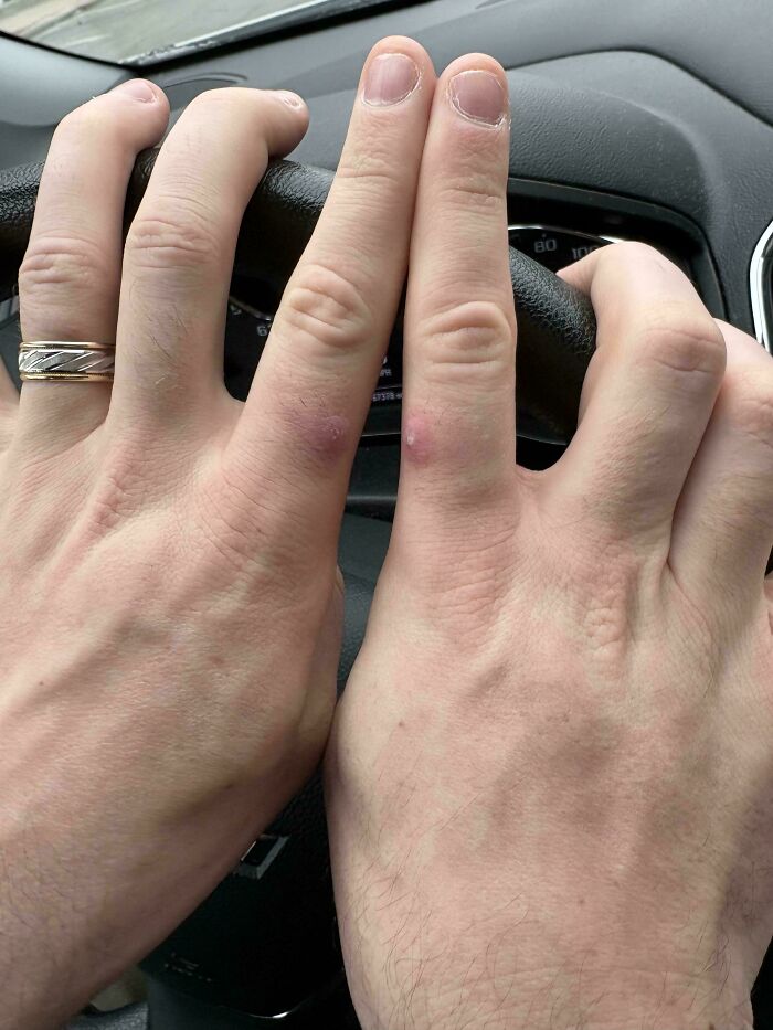 116 Mildly Interesting Pictures That Make You Say ‘Huh’ And Then Scroll To The Next Photo (New Pics) 116 Mildly Interesting Pictures That Make You Say ‘Huh’ And Then Scroll To The Next Photo (New Pics)