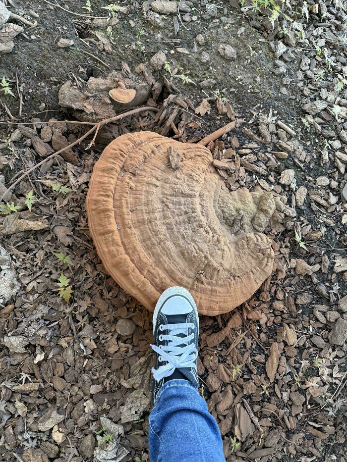 116 Mildly Interesting Pictures That Make You Say ‘Huh’ And Then Scroll To The Next Photo (New Pics) 116 Mildly Interesting Pictures That Make You Say ‘Huh’ And Then Scroll To The Next Photo (New Pics)