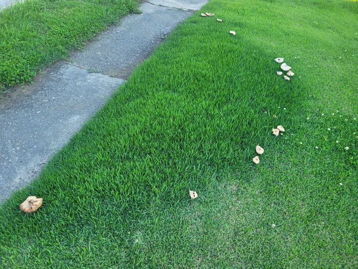 116 Mildly Interesting Pictures That Make You Say ‘Huh’ And Then Scroll To The Next Photo (New Pics) 116 Mildly Interesting Pictures That Make You Say ‘Huh’ And Then Scroll To The Next Photo (New Pics)