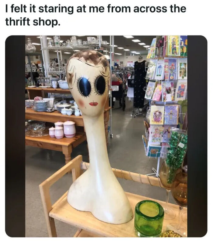74 Unhinged Secondhand Finds That Prove One Person’s Trash Is Another Person’s Cursed Treasure 74 Unhinged Secondhand Finds That Prove One Person’s Trash Is Another Person’s Cursed Treasure