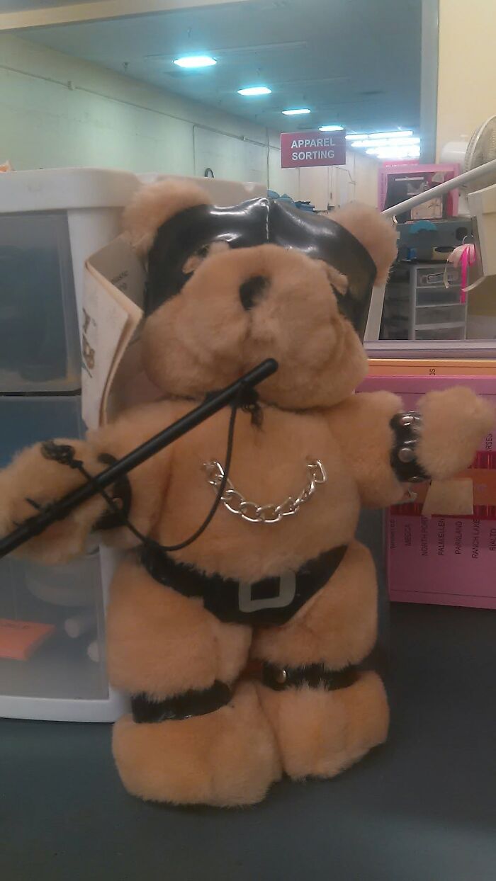 74 Unhinged Secondhand Finds That Prove One Person’s Trash Is Another Person’s Cursed Treasure 74 Unhinged Secondhand Finds That Prove One Person’s Trash Is Another Person’s Cursed Treasure