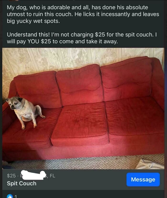 74 Unhinged Secondhand Finds That Prove One Person’s Trash Is Another Person’s Cursed Treasure 74 Unhinged Secondhand Finds That Prove One Person’s Trash Is Another Person’s Cursed Treasure
