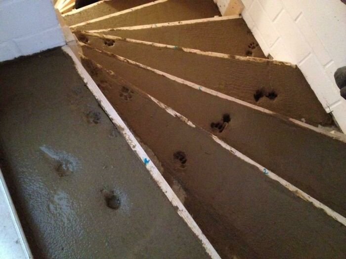 78 Times People Had Questionable Results From Their Home Improvement Projects 78 Times People Had Questionable Results From Their Home Improvement Projects