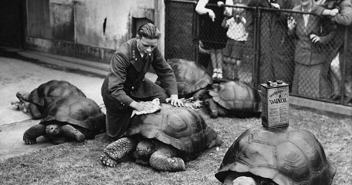 77 Candid Old Photos That Reveal What The World Actually Looked Like Generations Ago (New Pics)