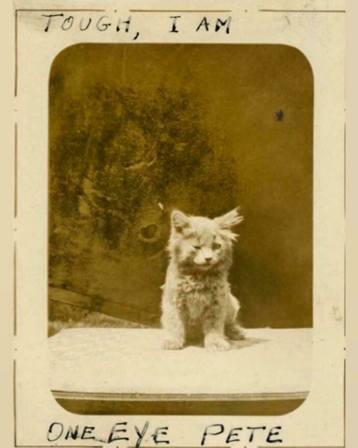 77 Candid Old Photos That Reveal What The World Actually Looked Like Generations Ago (New Pics)