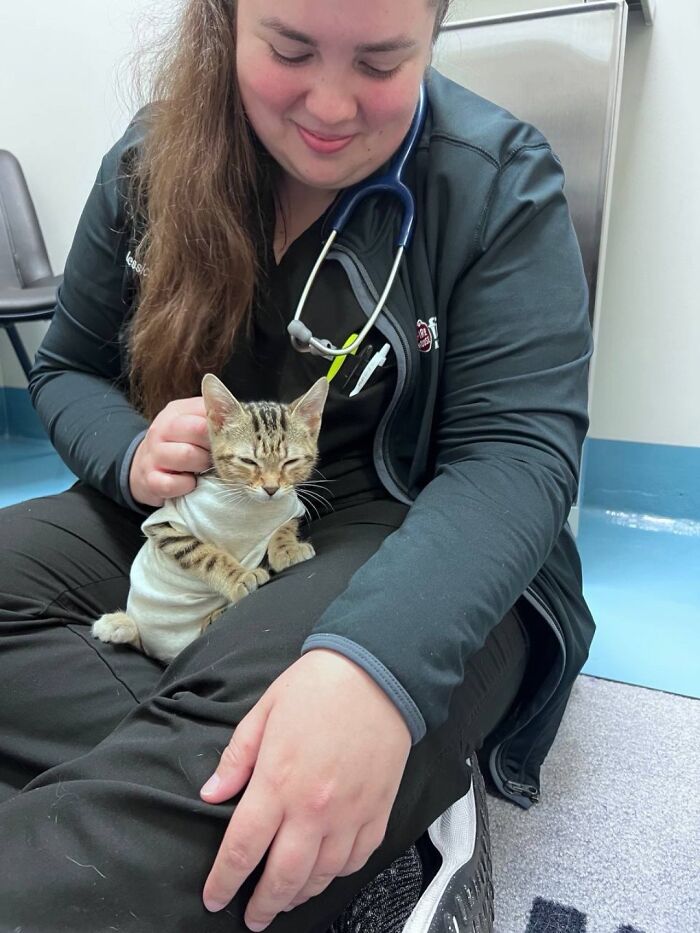 This Vet Clinic Shared 45 Photos Of Cats Having The Funniest Reactions During Appointments This Vet Clinic Shared 45 Photos Of Cats Having The Funniest Reactions During Appointments