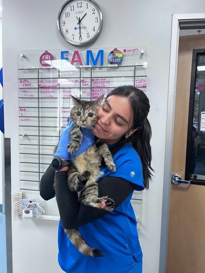This Vet Clinic Shared 45 Photos Of Cats Having The Funniest Reactions During Appointments This Vet Clinic Shared 45 Photos Of Cats Having The Funniest Reactions During Appointments