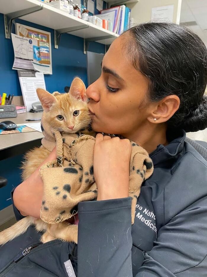 This Vet Clinic Shared 45 Photos Of Cats Having The Funniest Reactions During Appointments This Vet Clinic Shared 45 Photos Of Cats Having The Funniest Reactions During Appointments