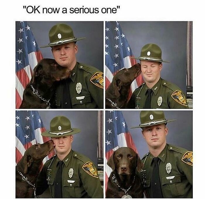 This Page Shared 76 Dog Memes Which Capture All The Cuteness And Chaos Of Having A Dog This Page Shared 76 Dog Memes Which Capture All The Cuteness And Chaos Of Having A Dog