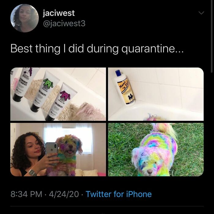 This Page Shared 76 Dog Memes Which Capture All The Cuteness And Chaos Of Having A Dog This Page Shared 76 Dog Memes Which Capture All The Cuteness And Chaos Of Having A Dog
