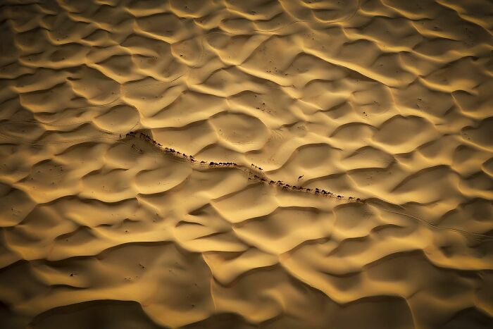 45 Stunning Wildlife Photos By Björn Persson That Might Bring You Closer To The Natural World 45 Stunning Wildlife Photos By Björn Persson That Might Bring You Closer To The Natural World