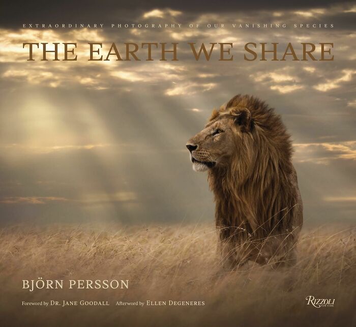 45 Stunning Wildlife Photos By Björn Persson That Might Bring You Closer To The Natural World 45 Stunning Wildlife Photos By Björn Persson That Might Bring You Closer To The Natural World