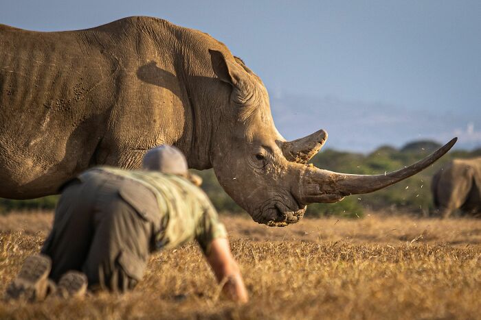 45 Stunning Wildlife Photos By Björn Persson That Might Bring You Closer To The Natural World 45 Stunning Wildlife Photos By Björn Persson That Might Bring You Closer To The Natural World