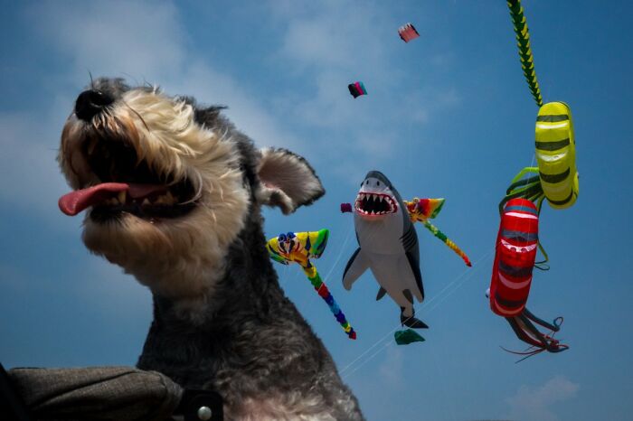 100 Candid Street Photos From The 2025 URBAN Photo Awards