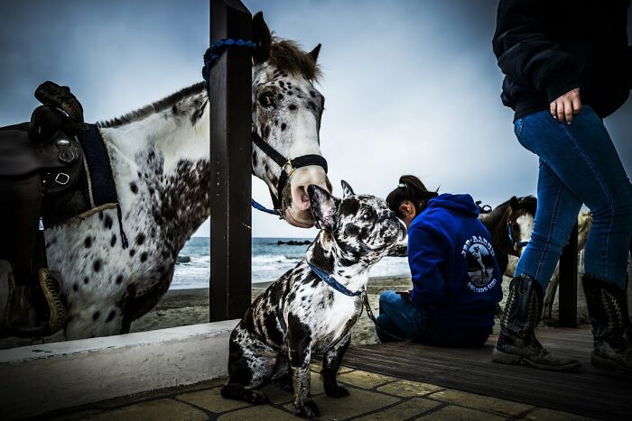 100 Candid Street Photos From The 2025 URBAN Photo Awards