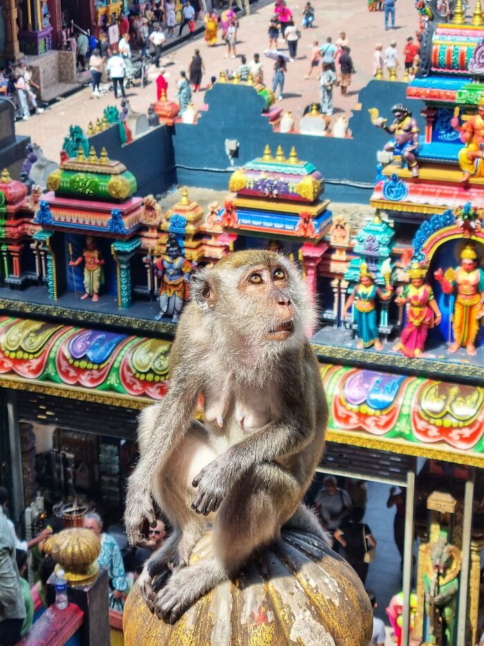 100 Candid Street Photos From The 2025 URBAN Photo Awards