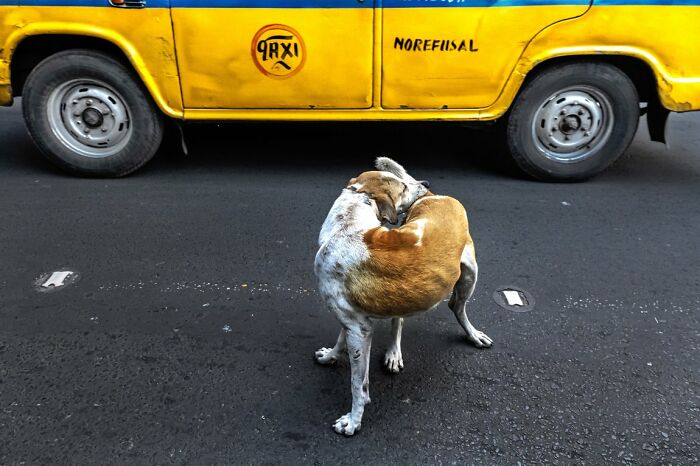 100 Candid Street Photos From The 2025 URBAN Photo Awards