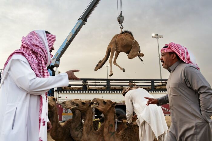 100 Candid Street Photos From The 2025 URBAN Photo Awards