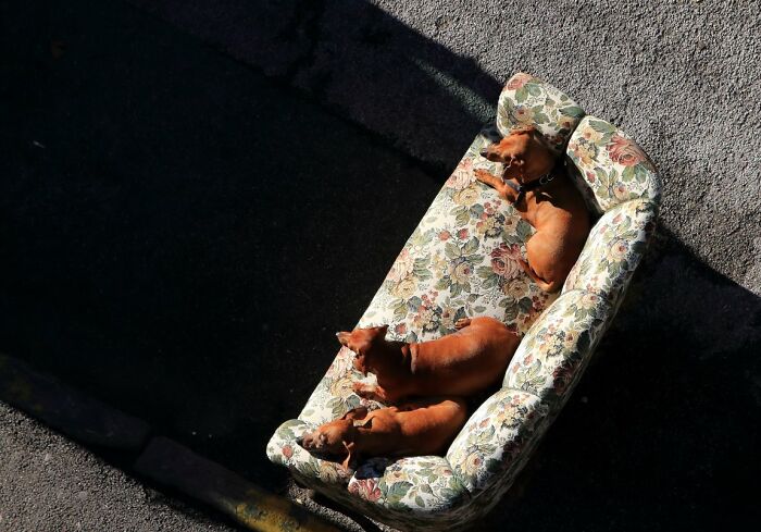 100 Candid Street Photos From The 2025 URBAN Photo Awards