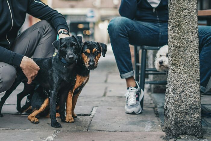 80 Americans Reveal The Little Things About Life In Europe That Caught Them Completely Off Guard