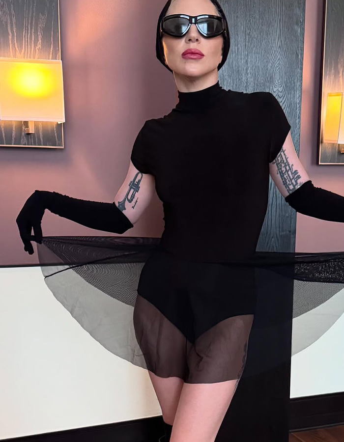 “Did She Buy A Baby”: 5 Signs Fans Missed That Lady Gaga Was Secretly Expecting Her First Baby