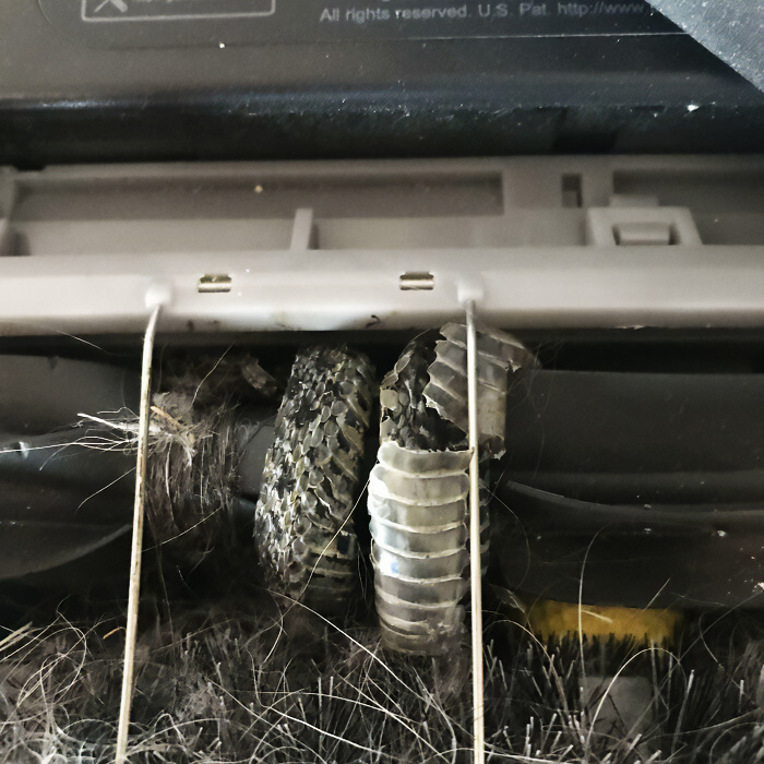 69 Truly Bizarre Things People Had To Take A Photo Of To Make Sure They&rsquo;re Not Hallucinating (New Pics)