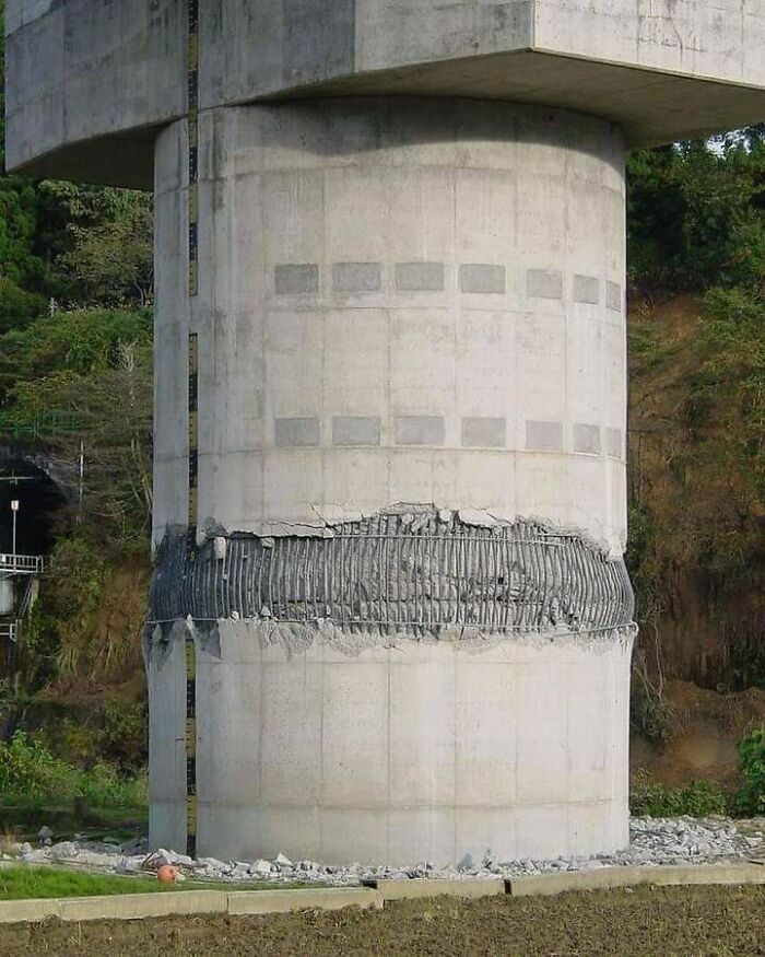 69 Truly Bizarre Things People Had To Take A Photo Of To Make Sure They&rsquo;re Not Hallucinating (New Pics)