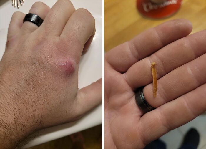 69 Truly Bizarre Things People Had To Take A Photo Of To Make Sure They&rsquo;re Not Hallucinating (New Pics)