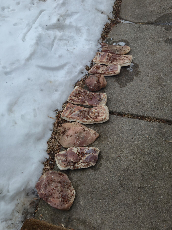 69 Truly Bizarre Things People Had To Take A Photo Of To Make Sure They&rsquo;re Not Hallucinating (New Pics)