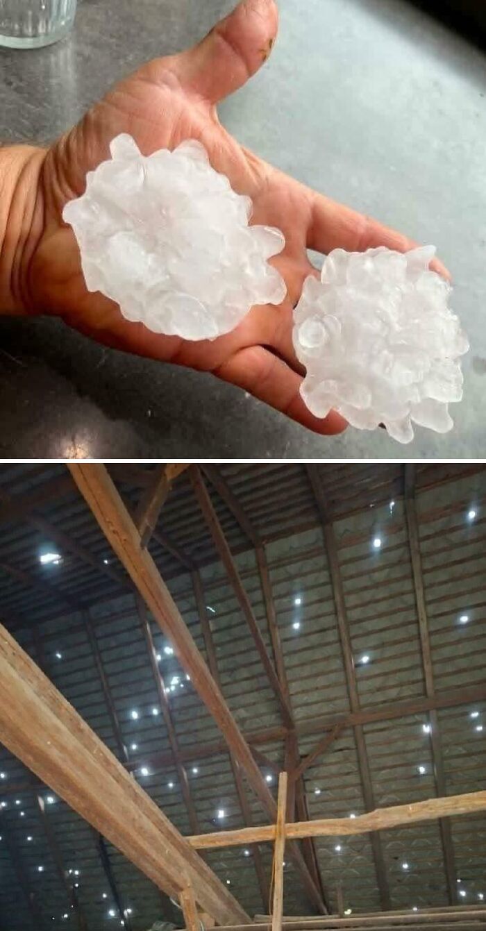 69 Truly Bizarre Things People Had To Take A Photo Of To Make Sure They&rsquo;re Not Hallucinating (New Pics)