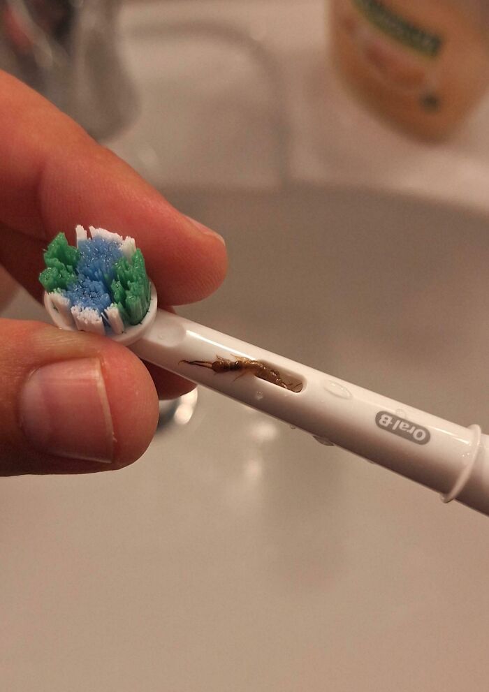 69 Truly Bizarre Things People Had To Take A Photo Of To Make Sure They&rsquo;re Not Hallucinating (New Pics)