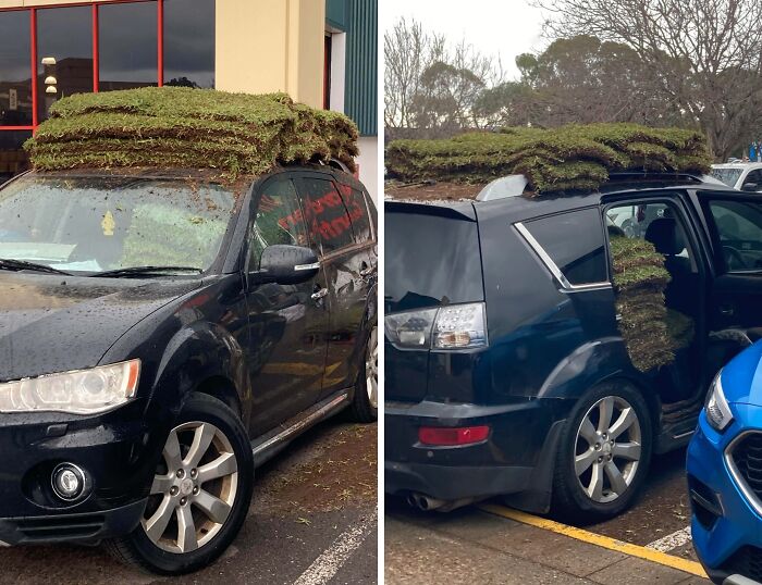 69 Truly Bizarre Things People Had To Take A Photo Of To Make Sure They&rsquo;re Not Hallucinating (New Pics)