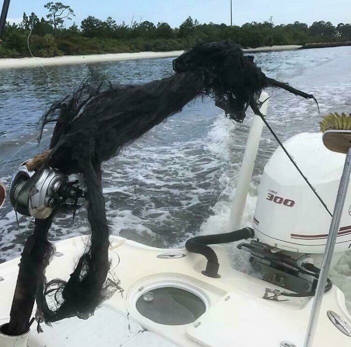 69 Truly Bizarre Things People Had To Take A Photo Of To Make Sure They&rsquo;re Not Hallucinating (New Pics)