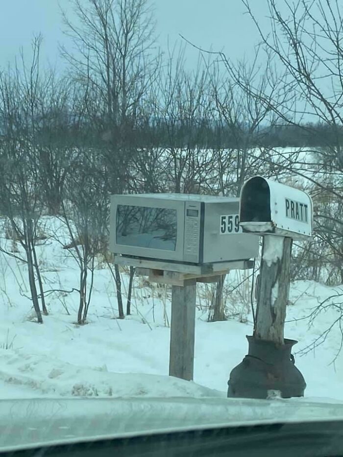69 Truly Bizarre Things People Had To Take A Photo Of To Make Sure They&rsquo;re Not Hallucinating (New Pics)