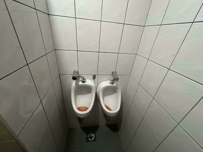 69 Truly Bizarre Things People Had To Take A Photo Of To Make Sure They&rsquo;re Not Hallucinating (New Pics)
