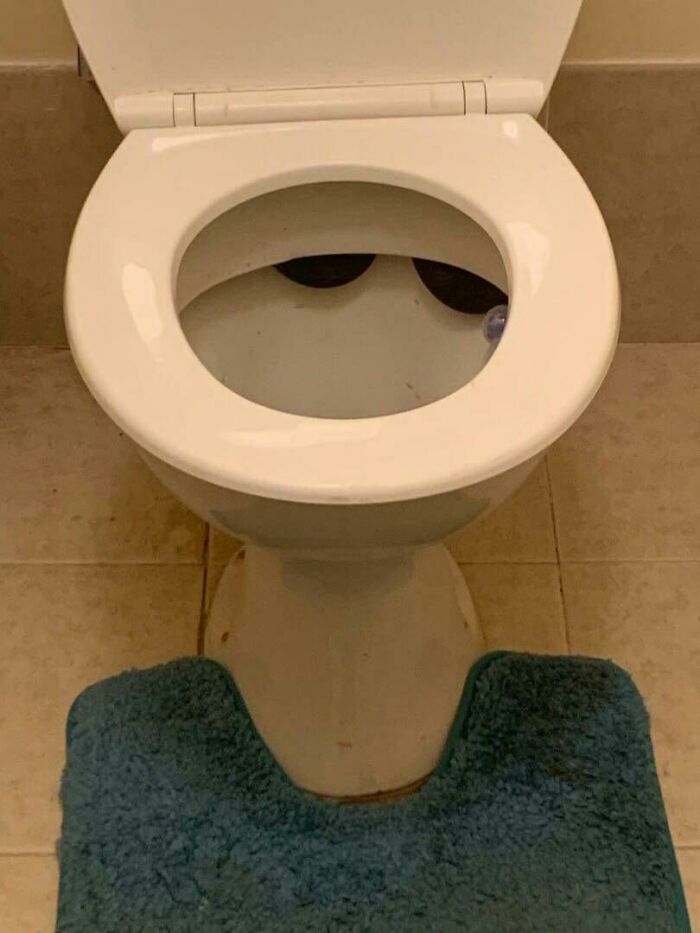 69 Truly Bizarre Things People Had To Take A Photo Of To Make Sure They&rsquo;re Not Hallucinating (New Pics)