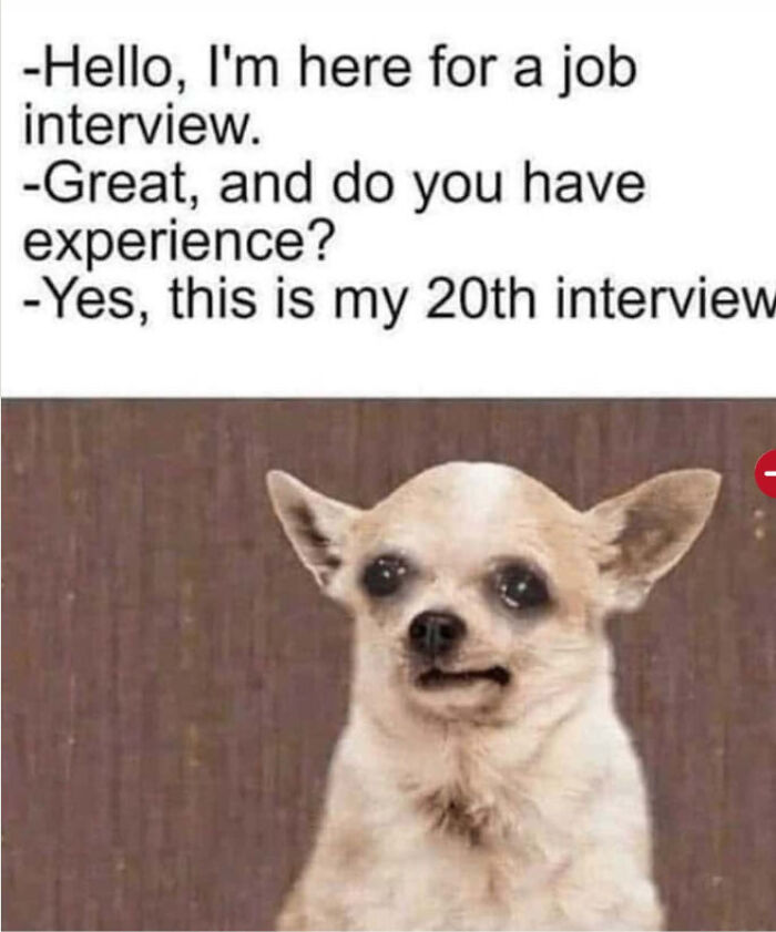 73 Baffling Posts About Work Straight Out Of &lsquo;Recruiting Hell&rsquo; (New Pics)