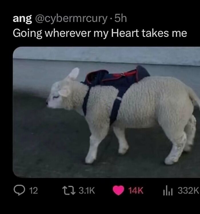 62 Screenshots That Capture The Internet At Its Strangest And Most Unfiltered