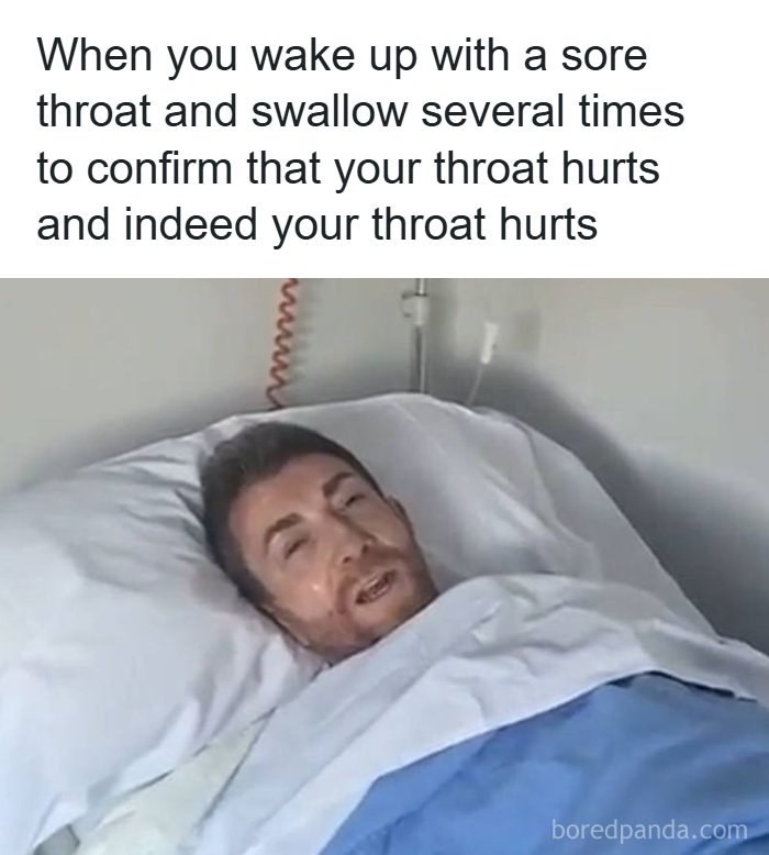 The Day Is Not Complete Without Liking A Meme So Here Are 77 Hilarious Ones (New Pics)