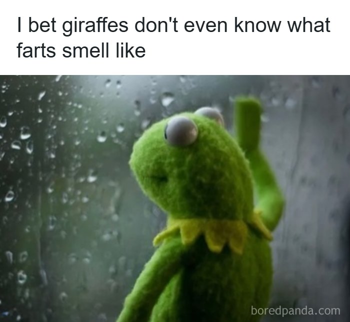 The Day Is Not Complete Without Liking A Meme So Here Are 77 Hilarious Ones (New Pics)