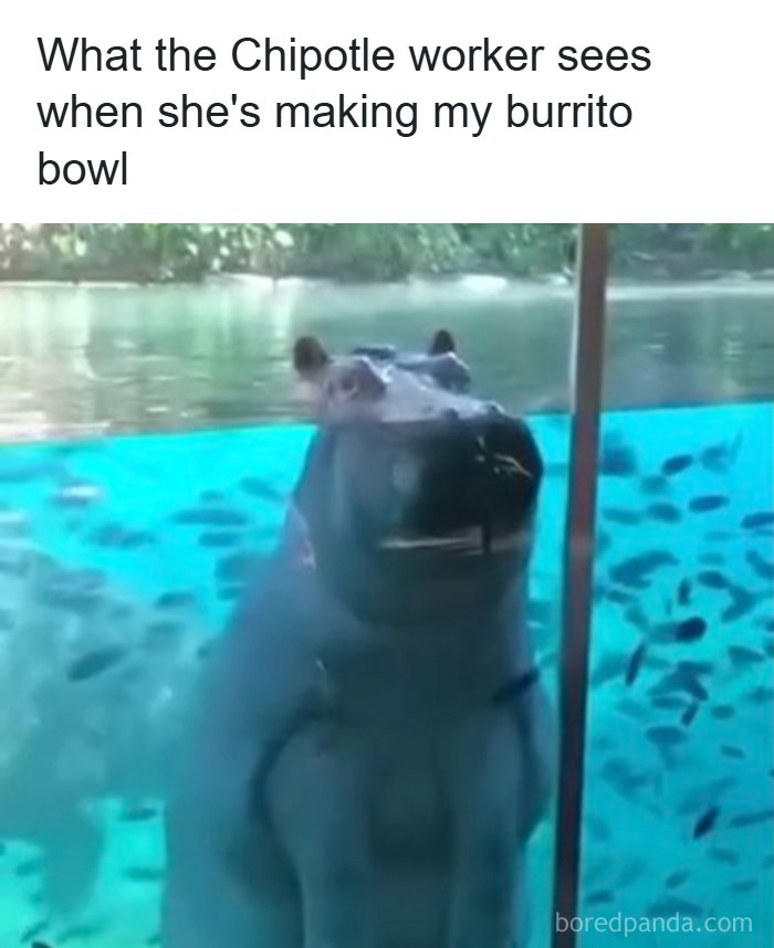 The Day Is Not Complete Without Liking A Meme So Here Are 77 Hilarious Ones (New Pics)