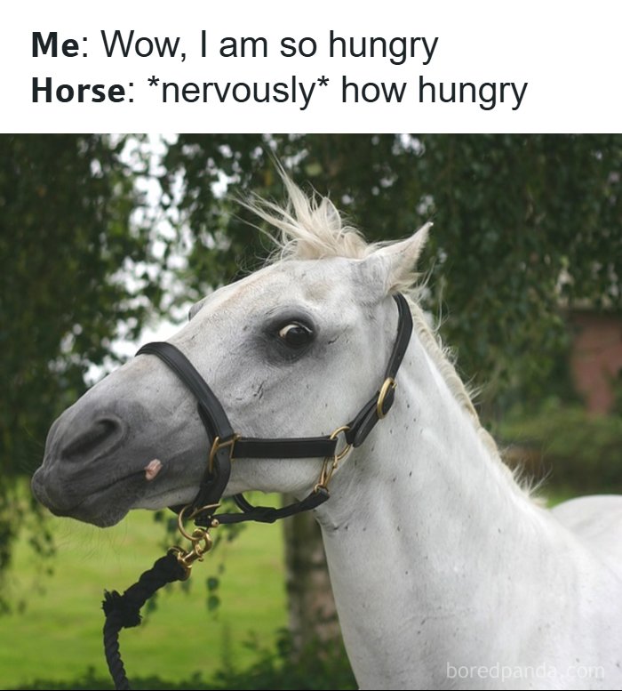 The Day Is Not Complete Without Liking A Meme So Here Are 77 Hilarious Ones (New Pics)