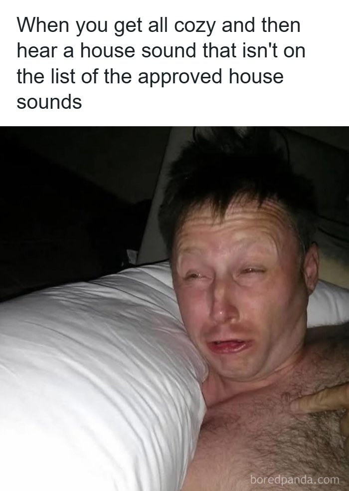 The Day Is Not Complete Without Liking A Meme So Here Are 77 Hilarious Ones (New Pics)