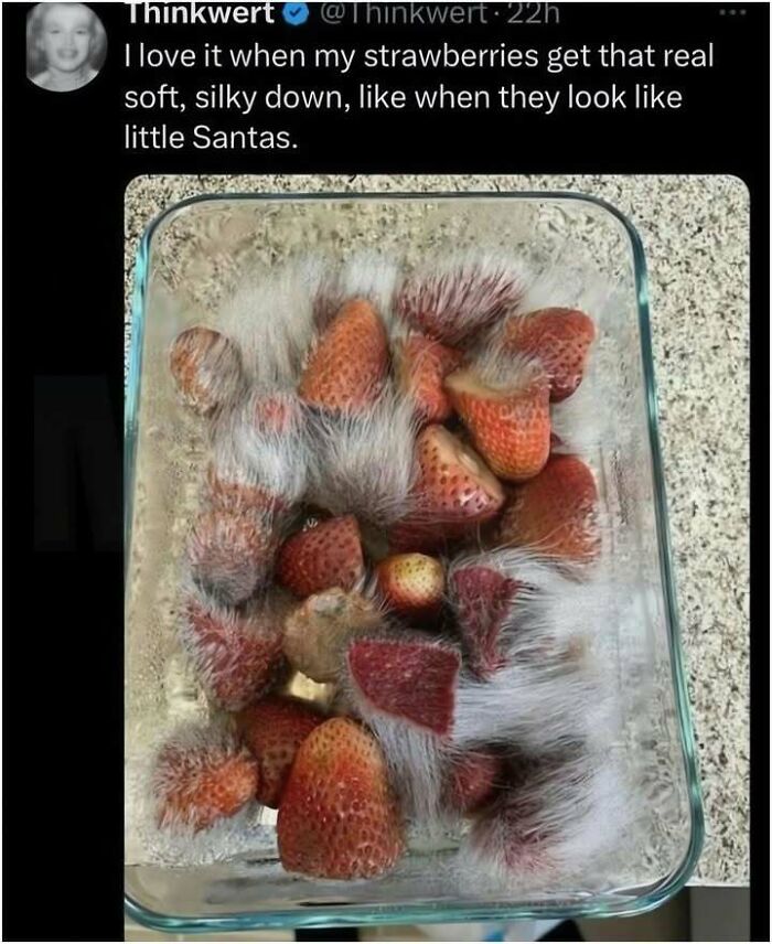 The Day Is Not Complete Without Liking A Meme So Here Are 77 Hilarious Ones (New Pics)