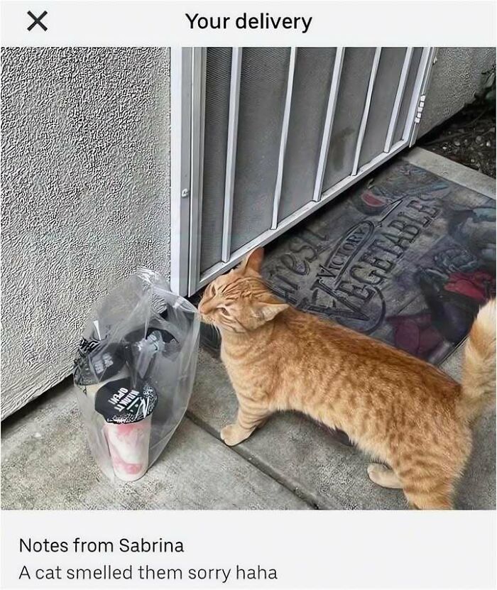 The Day Is Not Complete Without Liking A Meme So Here Are 77 Hilarious Ones (New Pics)