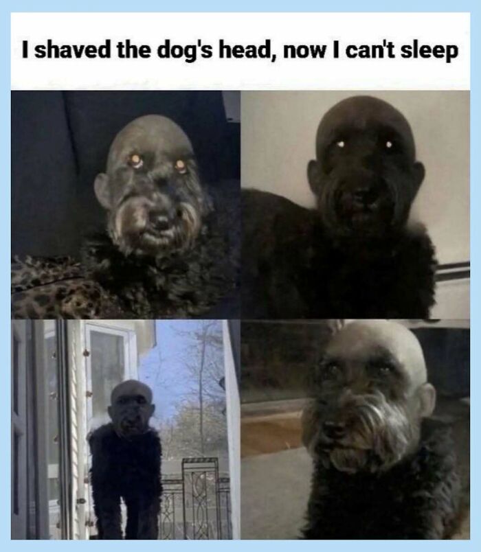 55 Funny Memes That Don&rsquo;t Mean To Offend Anyone, But Probably Will