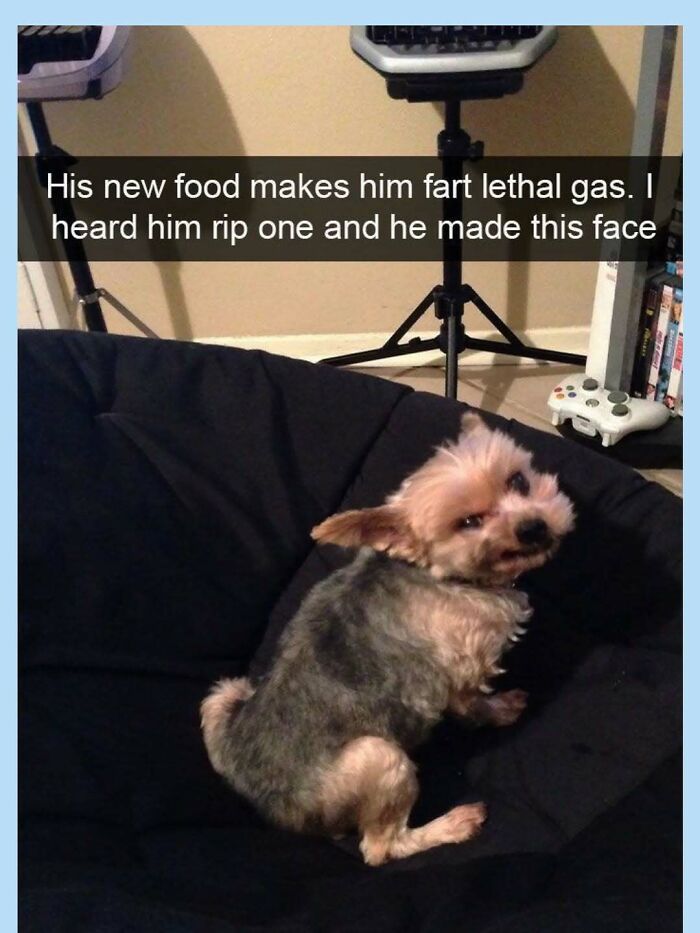 55 Funny Memes That Don&rsquo;t Mean To Offend Anyone, But Probably Will