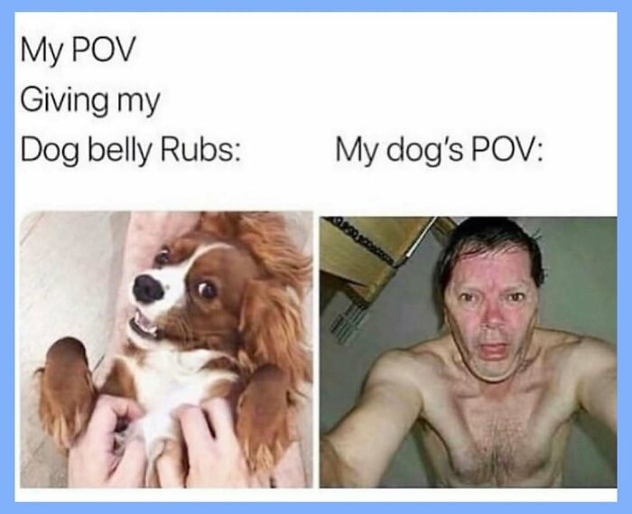55 Funny Memes That Don&rsquo;t Mean To Offend Anyone, But Probably Will