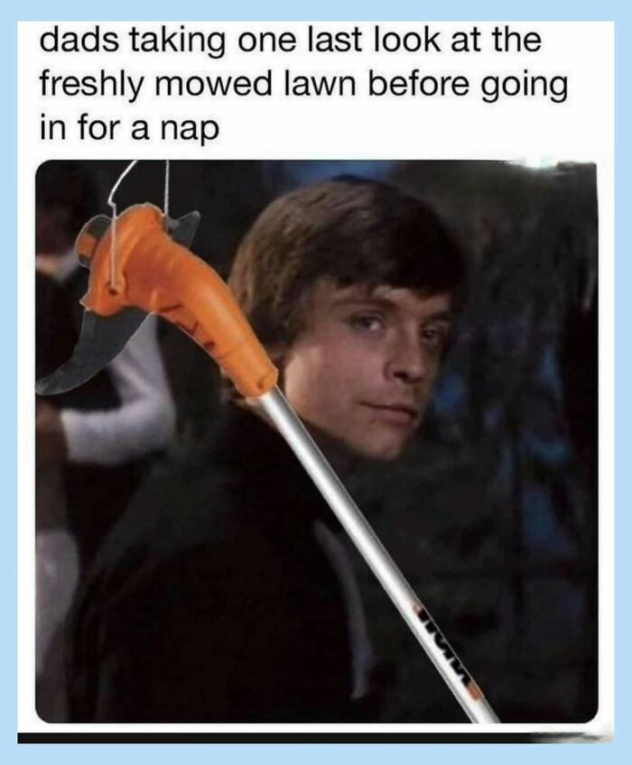 55 Funny Memes That Don&rsquo;t Mean To Offend Anyone, But Probably Will