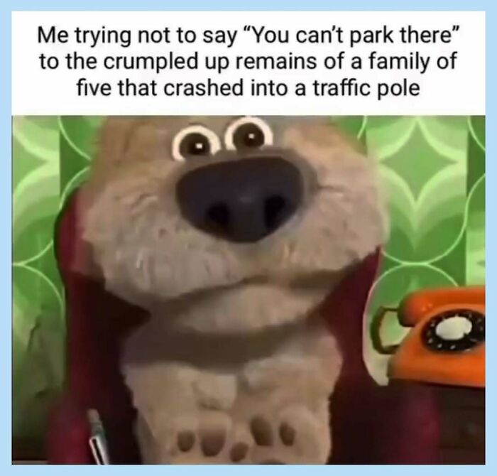 55 Funny Memes That Don&rsquo;t Mean To Offend Anyone, But Probably Will